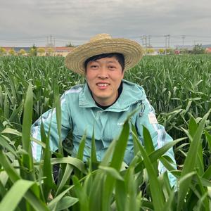 小峰趣生活每晚7点播