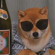 簡單點582的个人资料头像