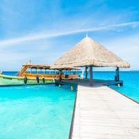 活泼柑桔Qwqjtl头像