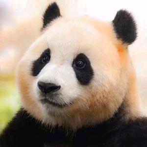 ❤️颖宝成长记头像