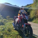 二三三815头像