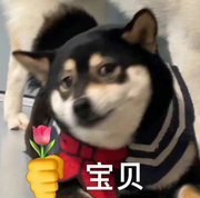 讲大模型的老李的个人资料头像