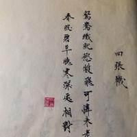 曾赵彩云归头像