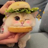 肯尼566头像