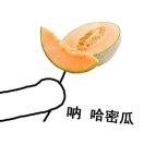 阿南本尊的个人资料头像