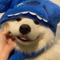 为何会不开心头像