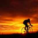 redarmy的个人资料头像