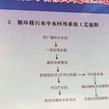 星宇杨头像