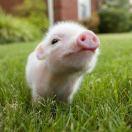 ZeroToOne酱的个人资料头像