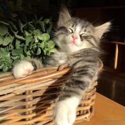 零d的个人资料头像