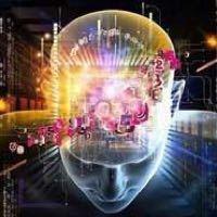 每日汽车知识头像