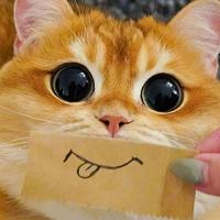 楼中楼外楼头像