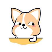 解正宵的个人资料头像