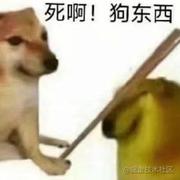 带薪拉屎的灰将军的个人资料头像