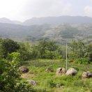 HowardAllen的个人资料头像