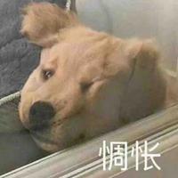 咚东咚东东头像