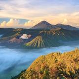 向着太阳迎着光9155头像