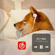 蜗牛等等我的个人资料头像