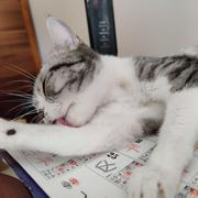 仙女不讲理的个人资料头像