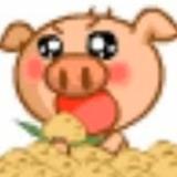 疯狂小猪吃西瓜头像