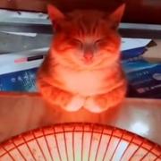 JAa的个人资料头像