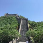909000的个人资料头像