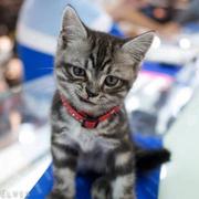 Yif的个人资料头像