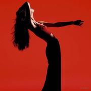 Gazi的个人资料头像