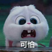 Distance451的个人资料头像