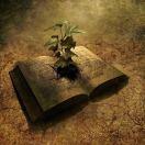 Samuell的个人资料头像