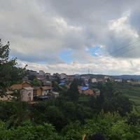 远方有你诗意盎然头像