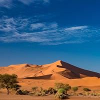 视野吉尔6N6头像