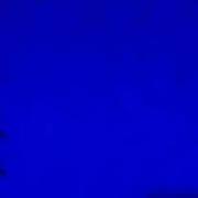 数据分析小歪的个人资料头像