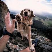 我头发呢105的个人资料头像