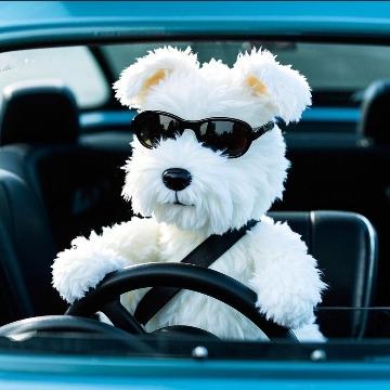 村口第一车神头像