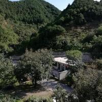 阳光下的火炉子888头像