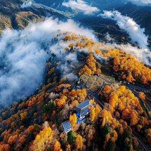 删除回忆录头像