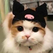 茉莉花煮茶的个人资料头像