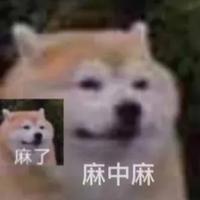 猫囿鱼丶头像