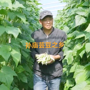 孙庙来哥头像