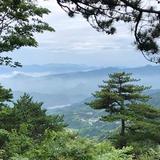 下定不提等新3头像