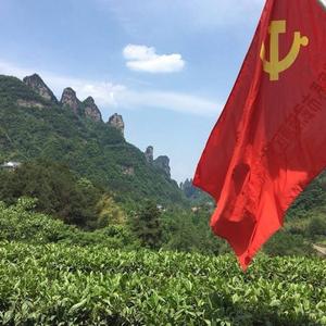 生态中国有机领航头像