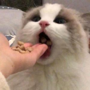 Arancia头像