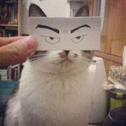 言则的个人资料头像