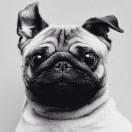 zhaoshe君的个人资料头像