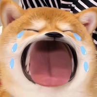 用户5291466690517头像