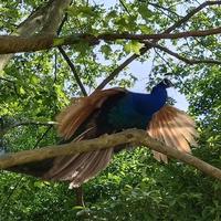 纵横闲来聊聊头像