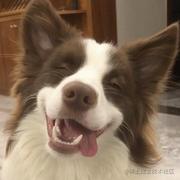 青木_ya的个人资料头像