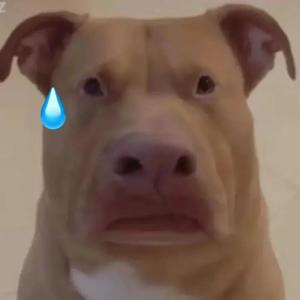 选手大树头像
