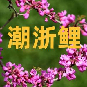 潮浙鲤头像